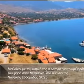 ert kritharoto tou psara