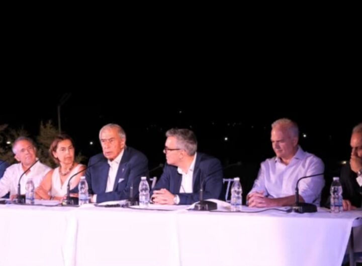 video panel naftilias